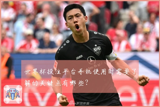 世界杯投注平台手机使用时需要了解的关键点有哪些？