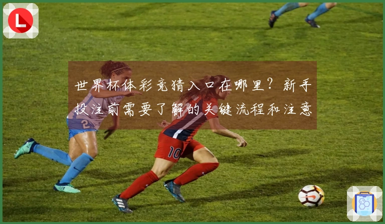 世界杯体彩竞猜入口在哪里？新手投注前需要了解的关键流程和注意事项