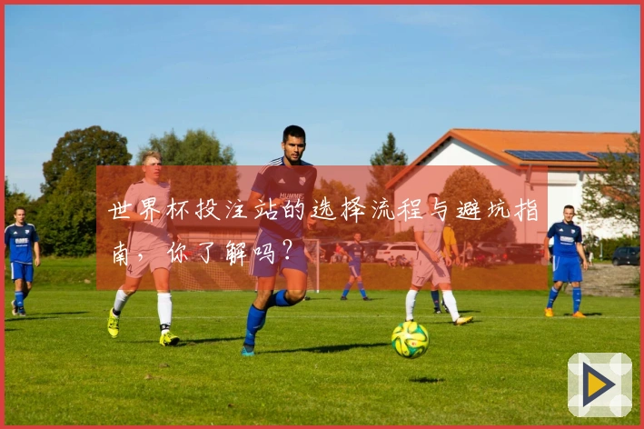 世界杯投注站的选择流程与避坑指南，你了解吗？
