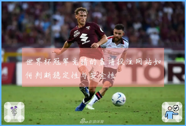 世界杯冠军竞猜的靠谱投注网站如何判断稳定性与安全性