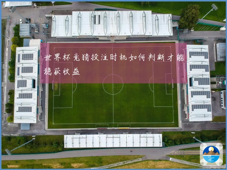 世界杯竞猜投注时机如何判断才能稳获收益
