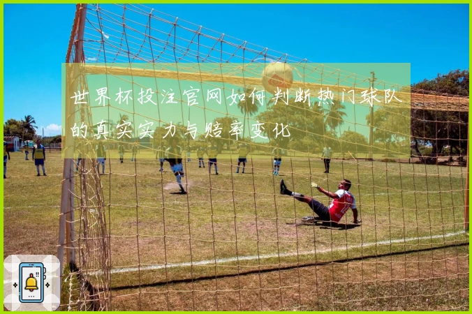 世界杯投注官网如何判断热门球队的真实实力与赔率变化
