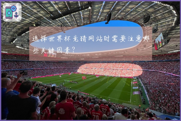选择世界杯竞猜网站时需要注意哪些关键因素？