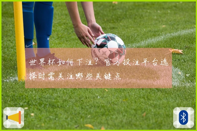 世界杯如何下注？官方投注平台选择时需关注哪些关键点