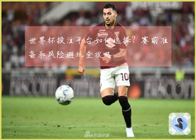 世界杯投注平台如何选择？赛前准备和风险避坑全攻略