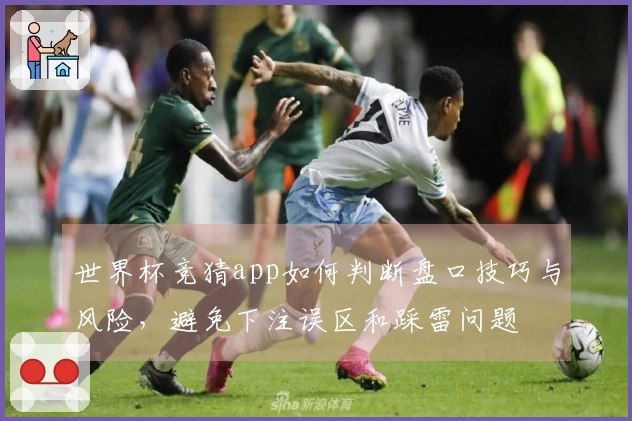 世界杯竞猜app如何判断盘口技巧与风险，避免下注误区和踩雷问题