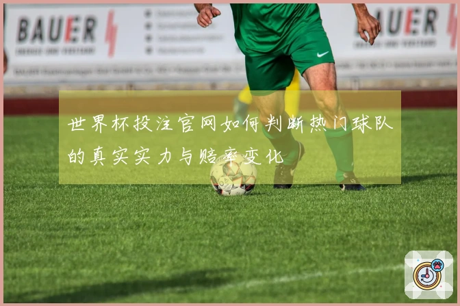世界杯投注官网如何判断热门球队的真实实力与赔率变化