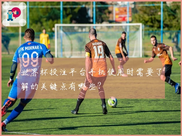 世界杯投注平台手机使用时需要了解的关键点有哪些？